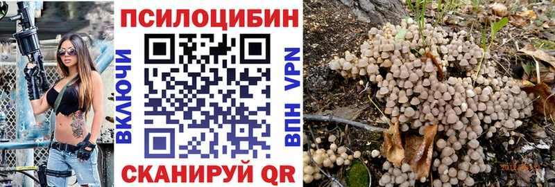купить  цена  Лукоянов  МЕГА зеркало  Псилоцибиновые грибы Magic Shrooms 